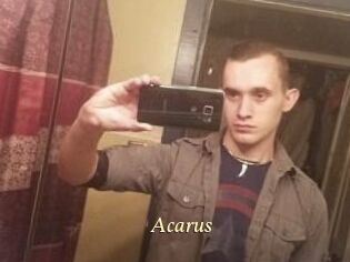 Acarus