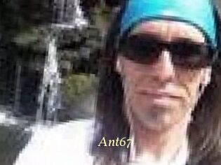 Ant67