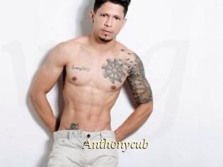 Anthonycub