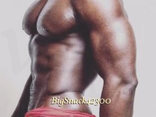 BigSnack42300