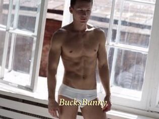 BucksBunny
