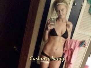 Cashmerebunny