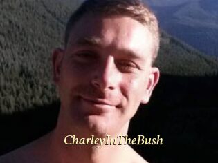 CharleyInTheBush