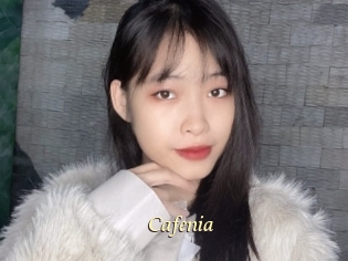 Cafenia
