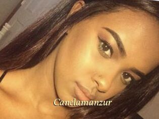 Canelamanzur