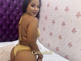 Carmelhill