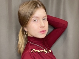Eleneedgin
