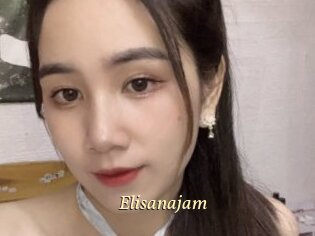 Elisanajam