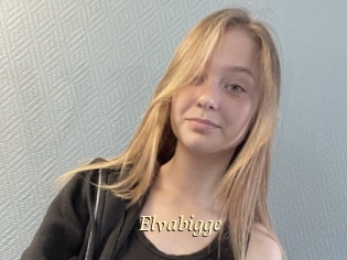 Elvabigge