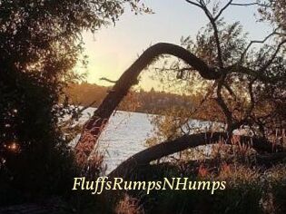 FluffsRumpsNHumps