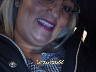 Grosseins88