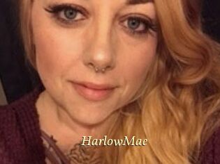 Harlow_Mae