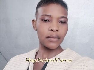 HugeNaturalCurves