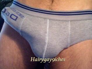 Hairygay9iches