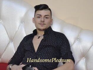 HandsomePleasure