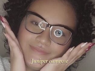 Juniper_camrose