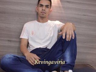 Kevingaviria