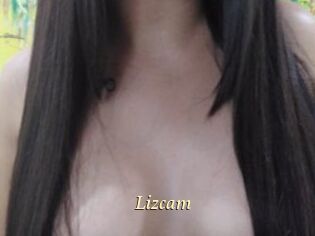 Lizcam