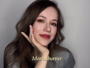 Merciaburner
