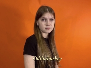 Odiliabuskey