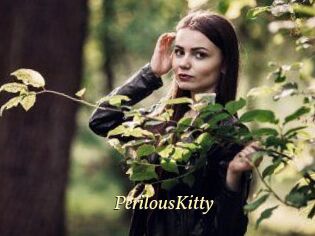 Perilous_Kitty