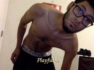 PlayfulJoe