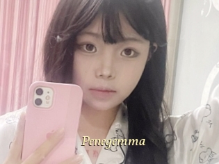 Penegemma