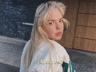 Plantarosa