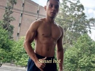 Sensei_hot