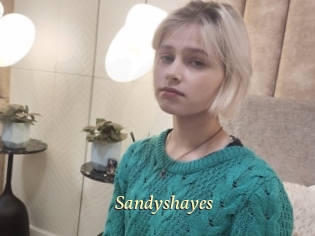 Sandyshayes