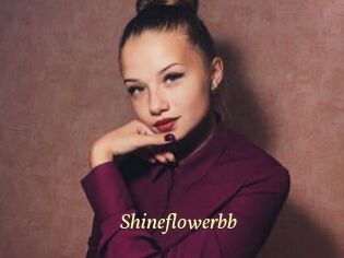 Shineflowerbb