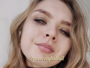 Synnovegledhill