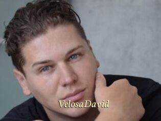 VelosaDavid