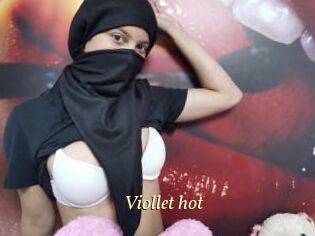 Viollet_hot