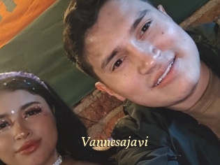 Vannesajavi