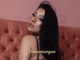 Venusmorgan