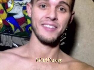 WildDavey