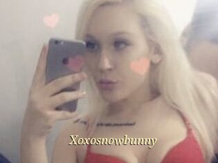 Xoxosnowbunny