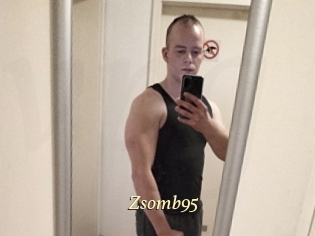 Zsomb95